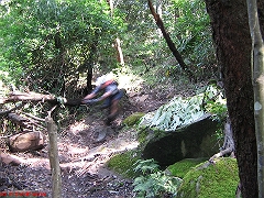 20080210-Bulli 114